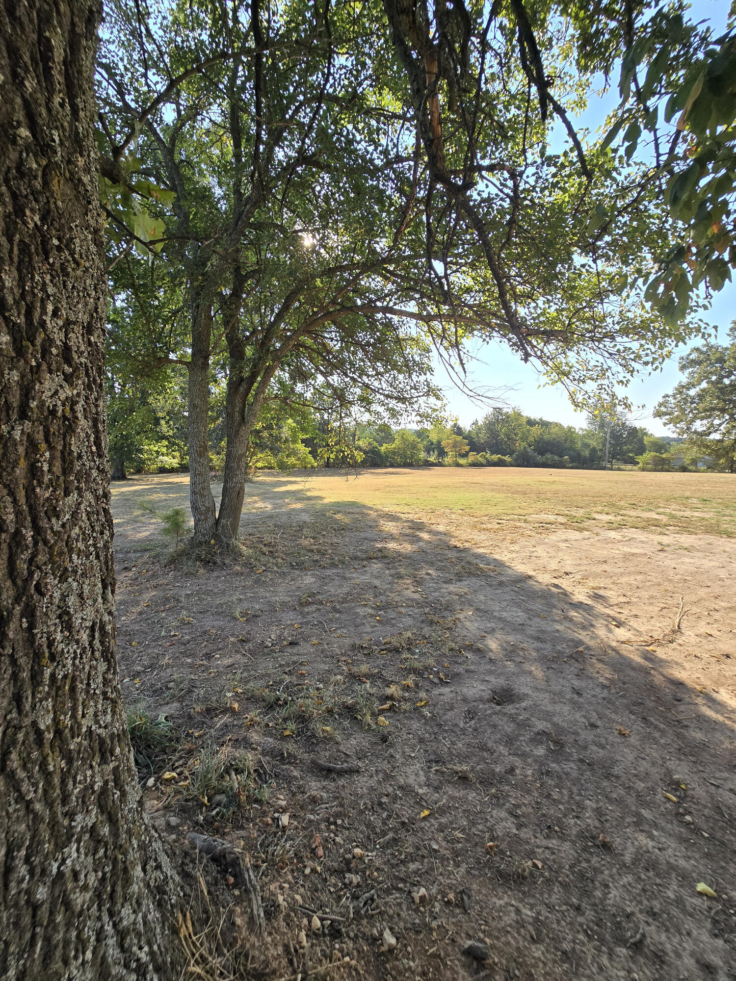 4513 State Route North Pomona, MO 65789 - Photo 35 of 41 35) 77087-6aa84ad77d626