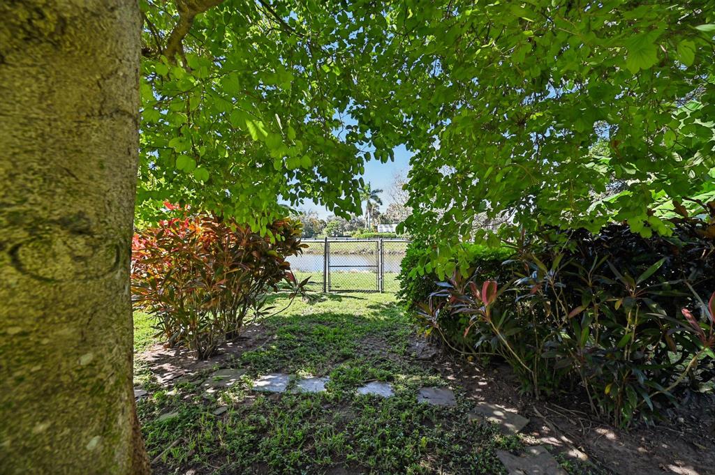 4181 Southwest 141st Avenue Davie, FL 33330 - Photo 49 of 61 a plant view in yard