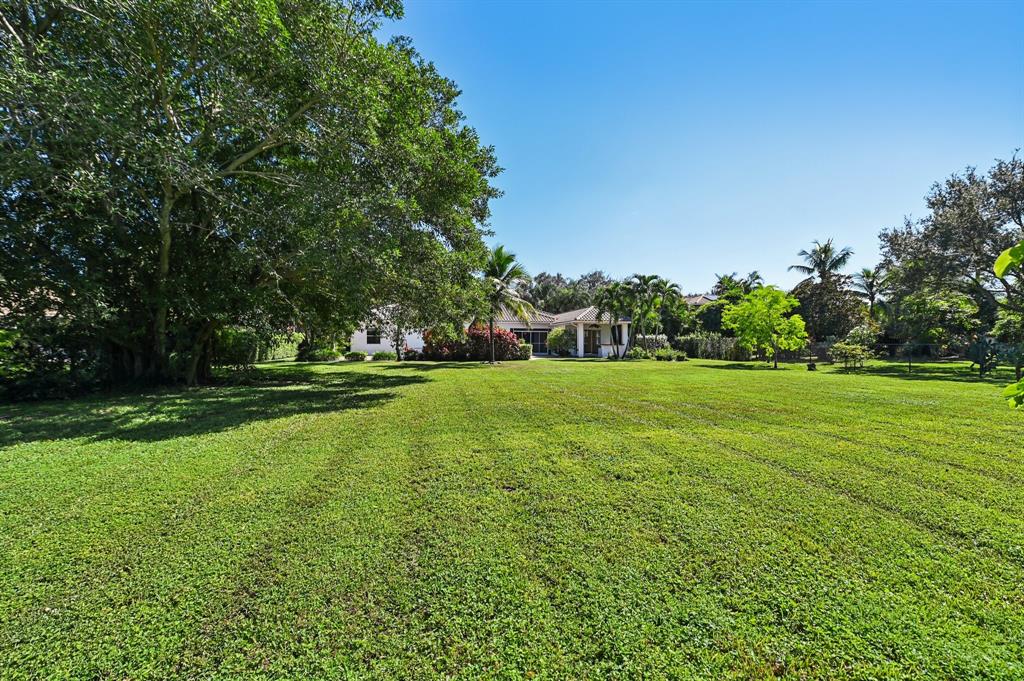 4181 Southwest 141st Avenue Davie, FL 33330 - Photo 50 of 61 a view of a park with trees and flowers