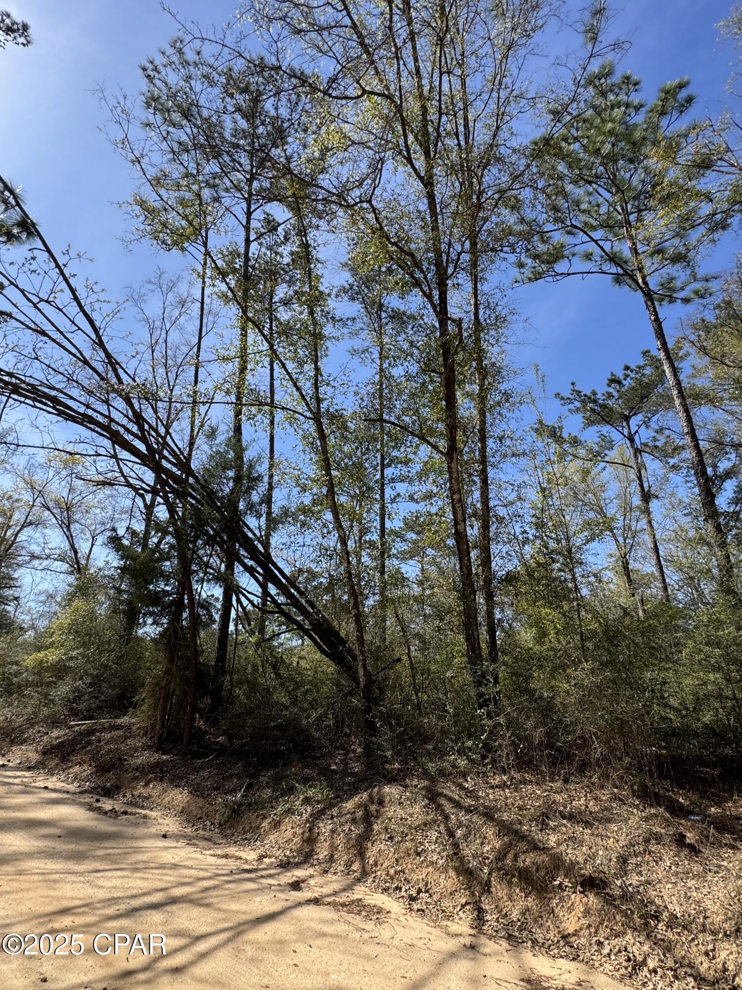 0 Sunday Road Chipley, FL 32428 - Photo 4 of 5