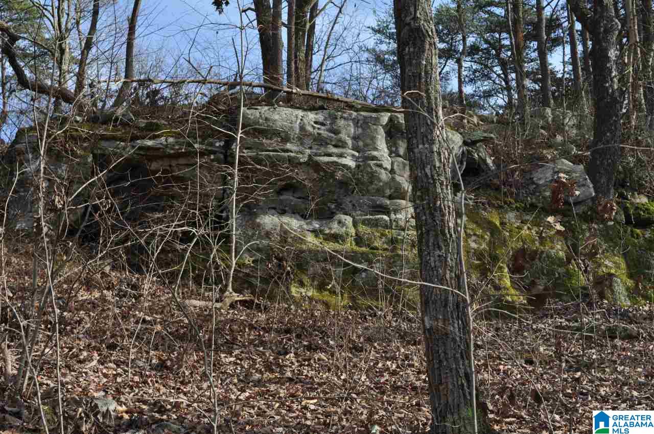 89 North County Road Mentone, AL 35984 - Photo 6 of 18