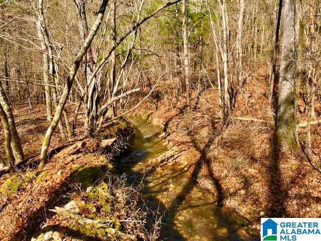 241 Valley Creek Road Piedmont, AL 36272 - Photo 8 of 13