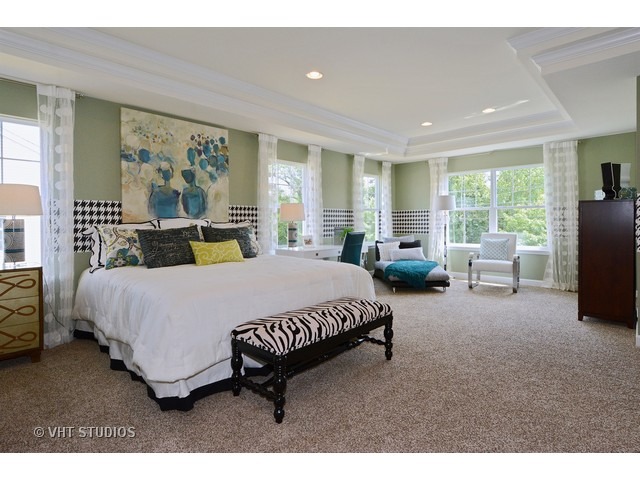 5863 Oak Ridge Way Lisle, IL 60532 - Photo 8 of 10