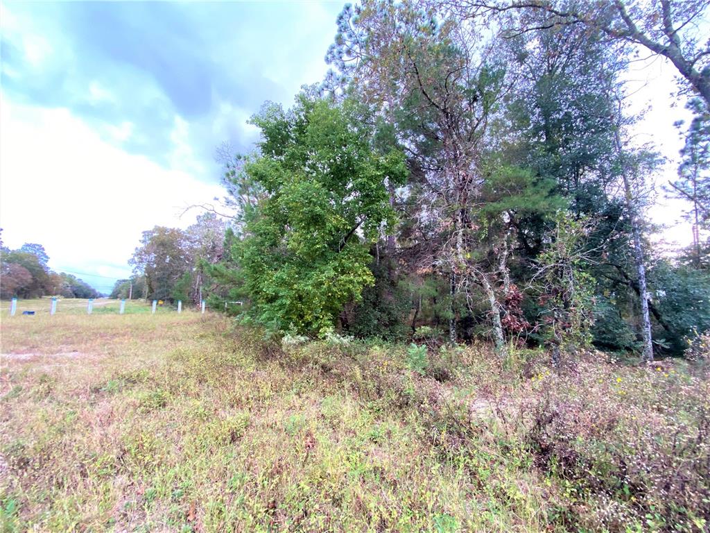 6031 Oak Leaf Road Keystone Heights, FL 32656 - Photo 1 of 1 Gallery Image 1