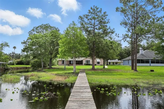 a living room with furniture or couch and a wooden floor