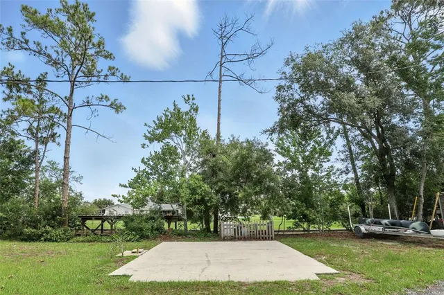 a view of a garden with trees