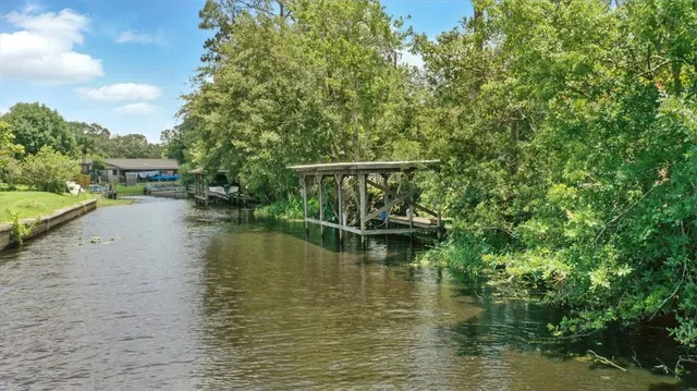 a park with lots of trees and plants