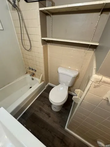 a bathroom with a toilet and a bathtub