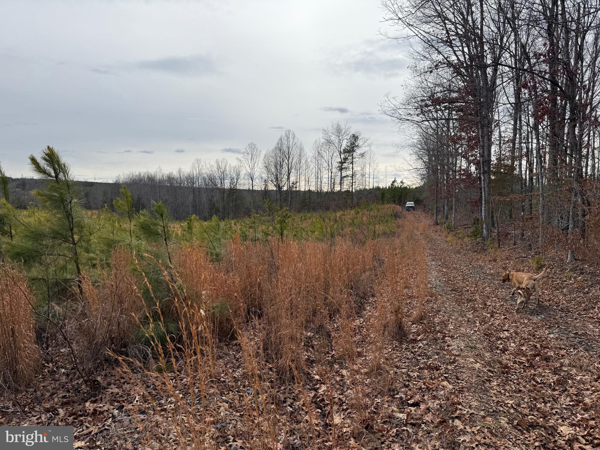 Tbd Community House Road Kents Store, VA 23084 - Photo 23 of 34