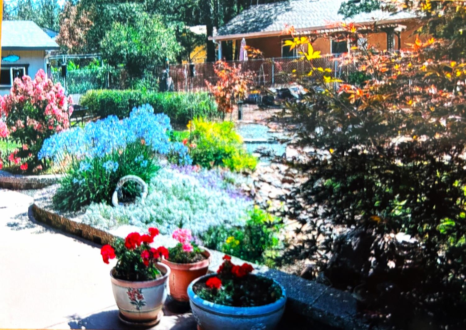 6140 Shad Way Pollock Pines, CA 95726 - Photo 35 of 48 Spring photo taken by seller - this shows how beautiful the backyard is in bloom!!