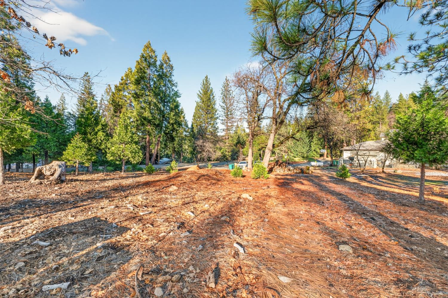 6140 Shad Way Pollock Pines, CA 95726 - Photo 47 of 48