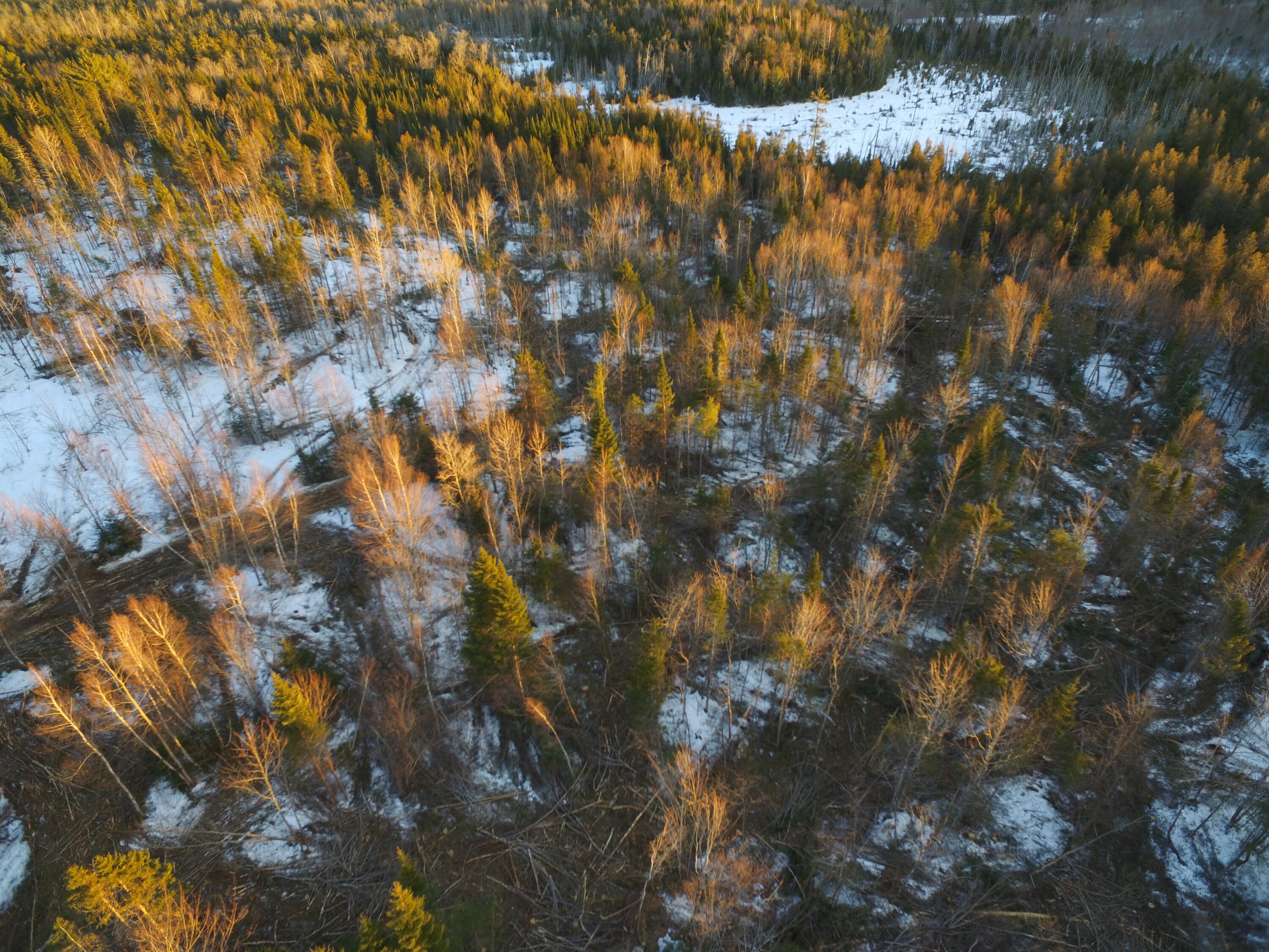 Lot 11.2 Off Tar Ridge Road Springfield, ME 04487 - Photo 8 of 16 DJI_0374