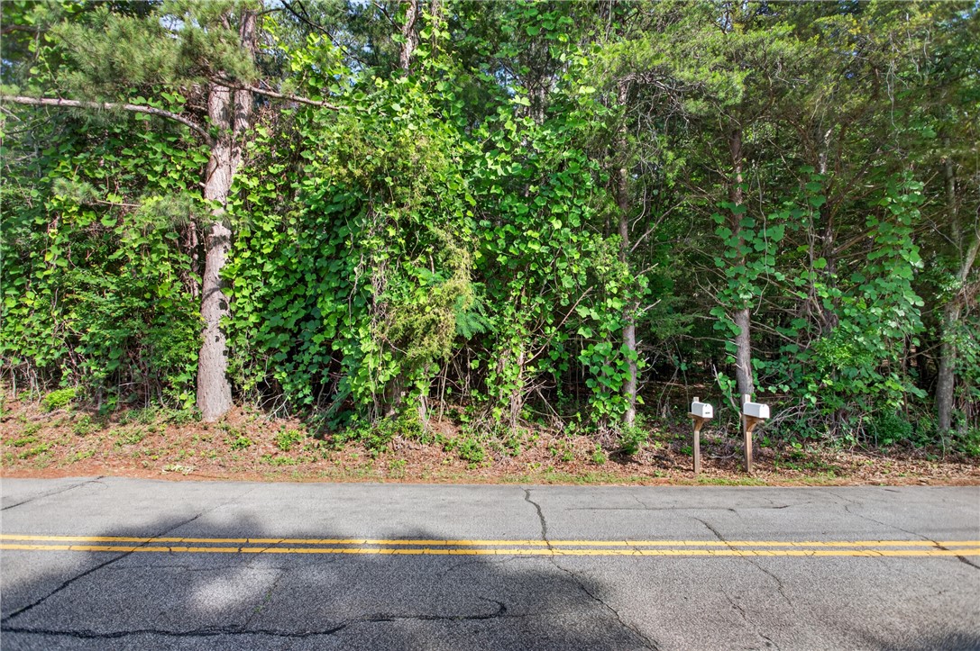 0 Barnes Road Seneca, SC 29672 - Photo 9 of 16 Mature trees and lush foliage define this ample parcel, ideal for a private residence.
