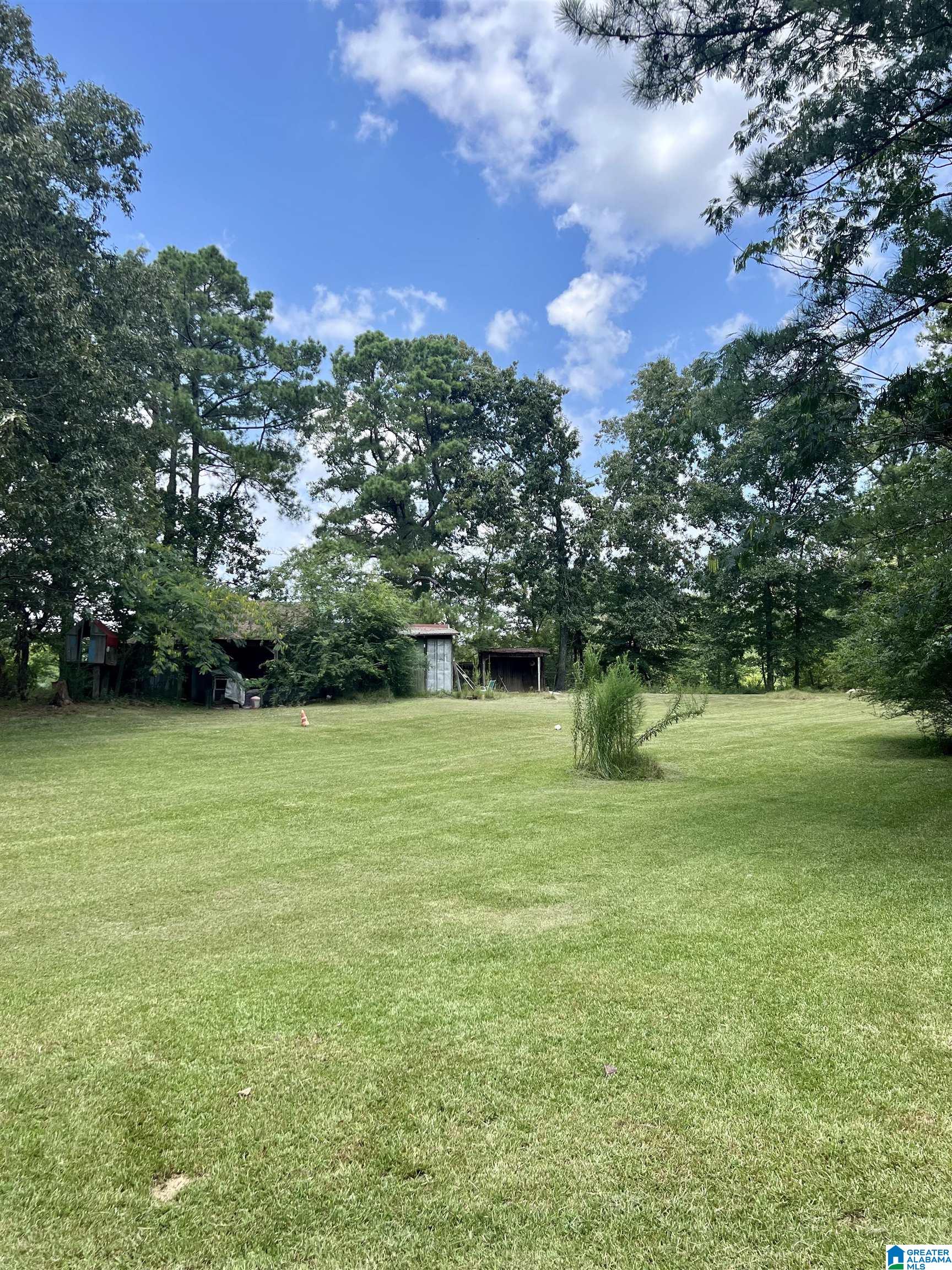 7650 Chelsea Road Columbiana, AL 35051 - Photo 12 of 47