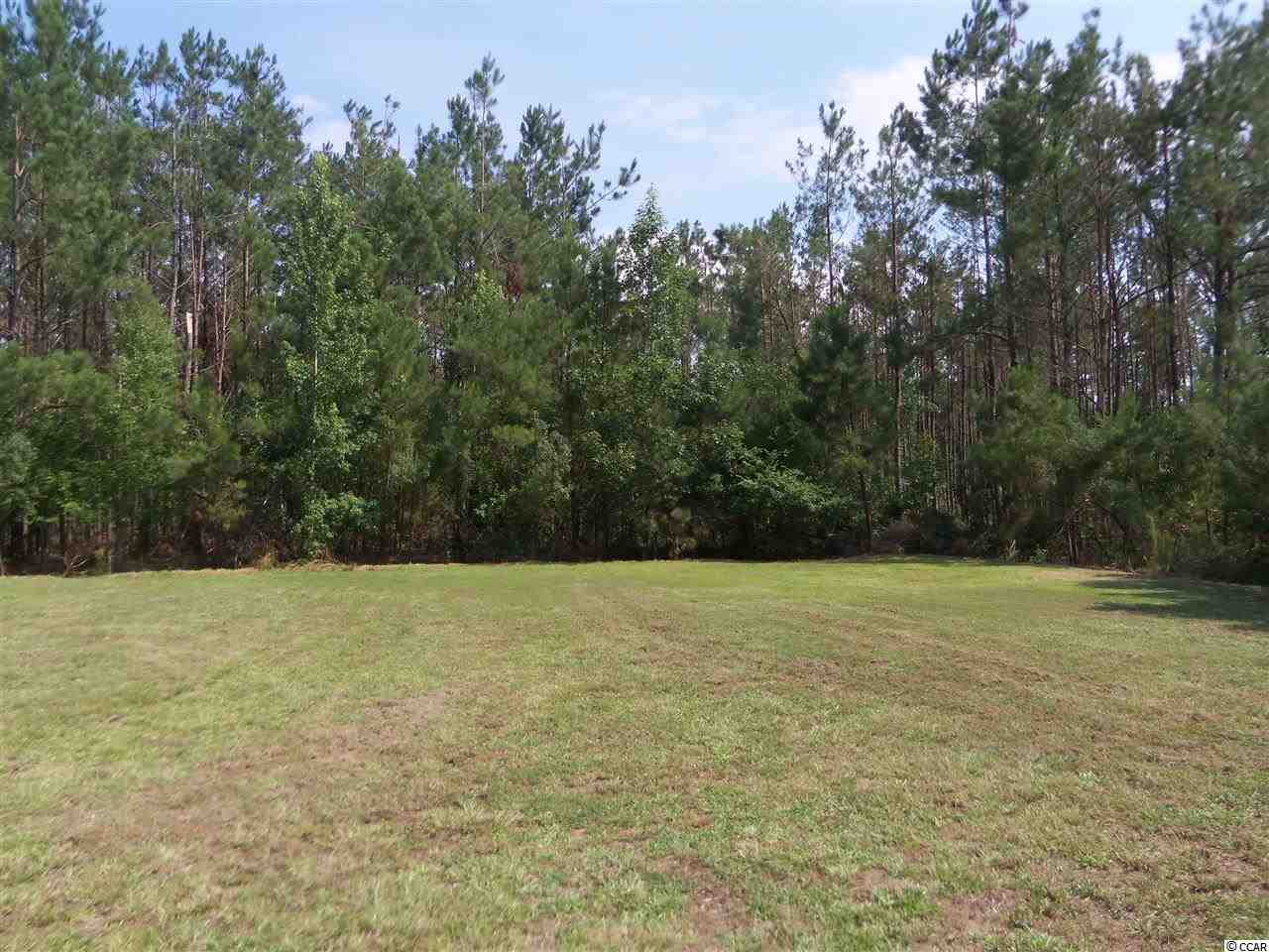 5715 Long Branch Swamp Road Nichols, SC 29581 - Photo 3 of 3 Gallery Image 3