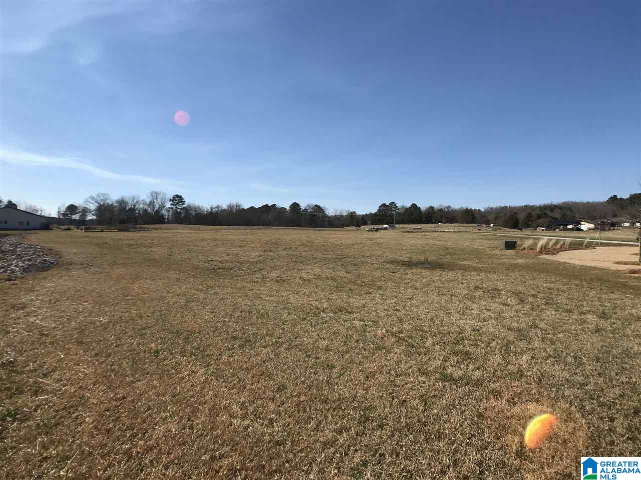 Greensport Road, Unit 2 53 Oneonta, AL 35121 - Photo 17 of 20