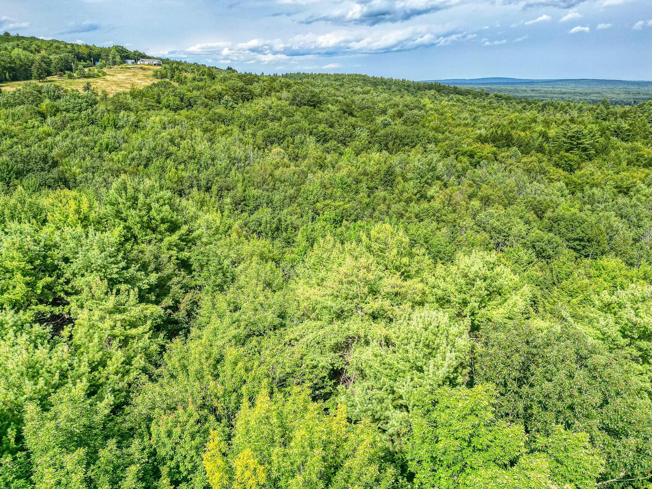 Lot #24 Scribner Hill Road Otisfield, ME 04270 - Photo 5 of 15 Maine Living!