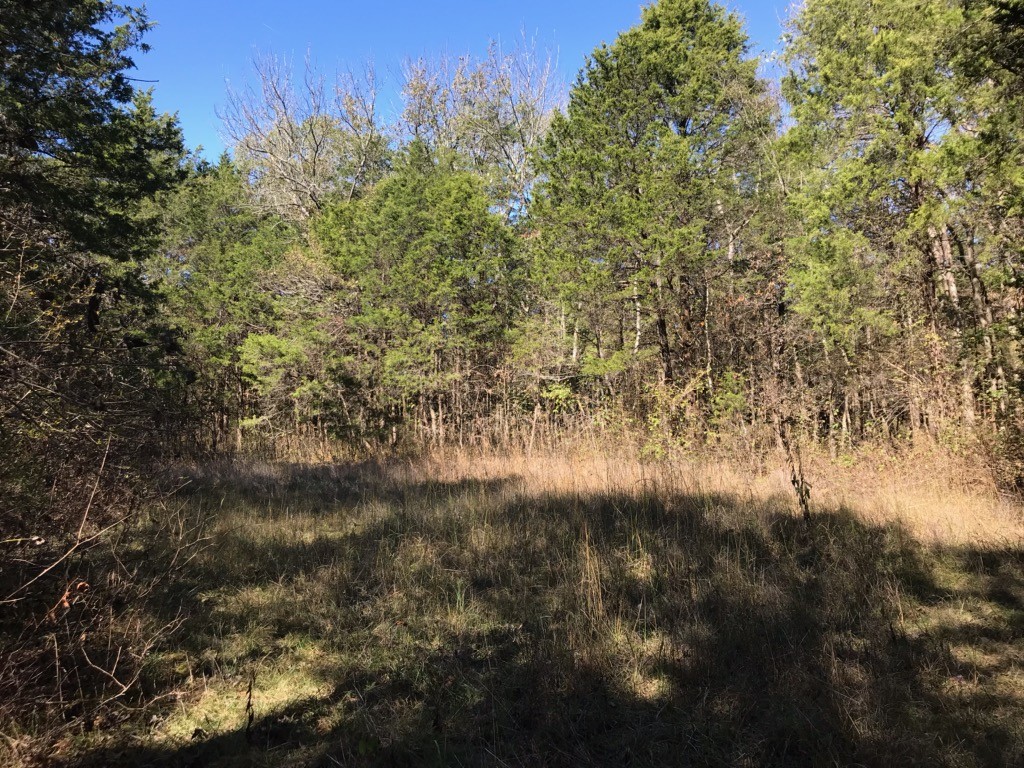 3277 Pugh Road Hermitage, TN 37076 - Photo 3 of 3 Gallery Image 3
