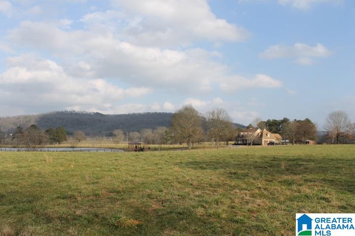 629 Merrill Road Grant, AL 35747 - Photo 12 of 45 Gallery Image 12