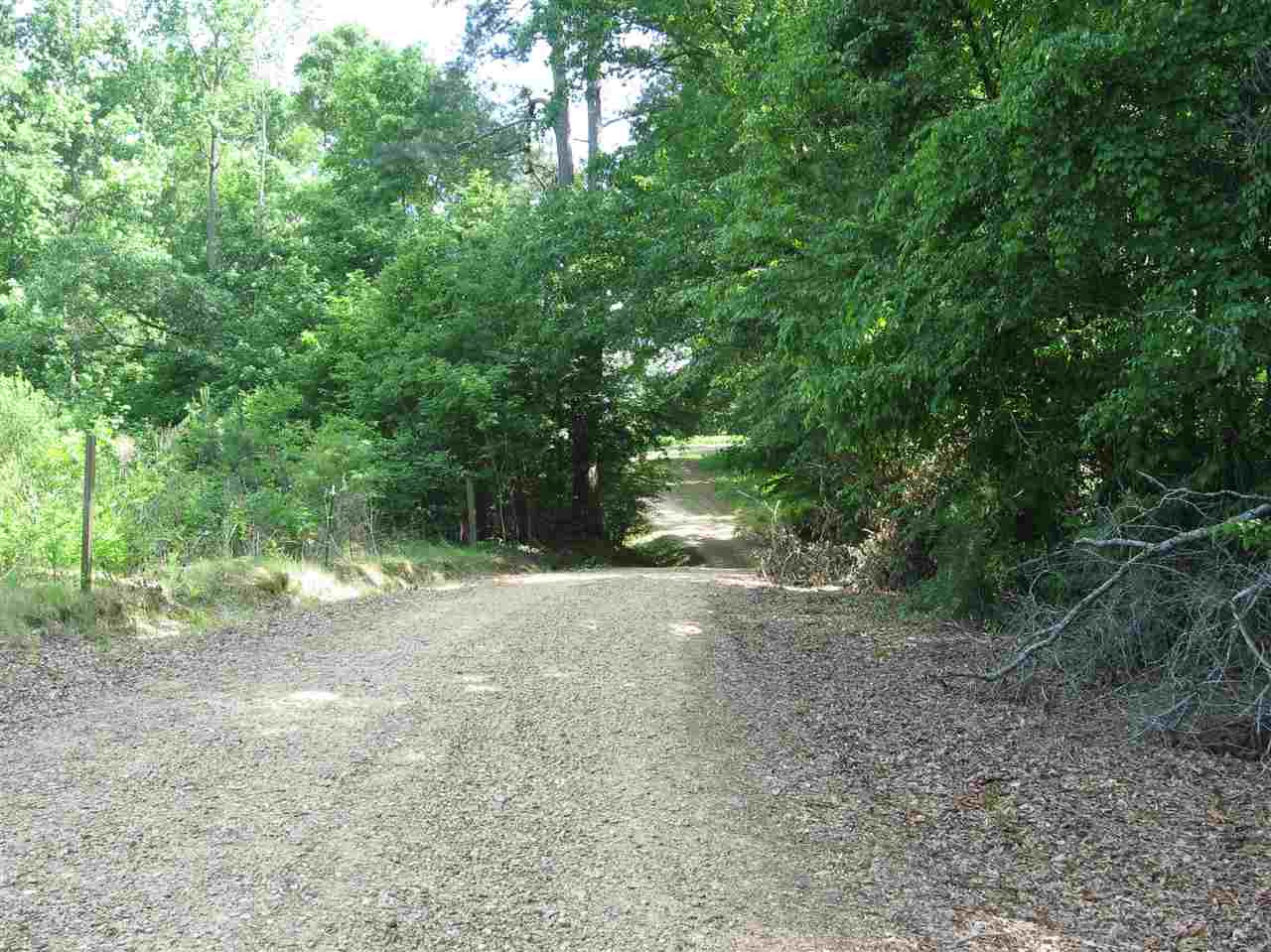 3850 Old Jackson Road Terry, MS 39170 - Photo 19 of 31 Photo 19