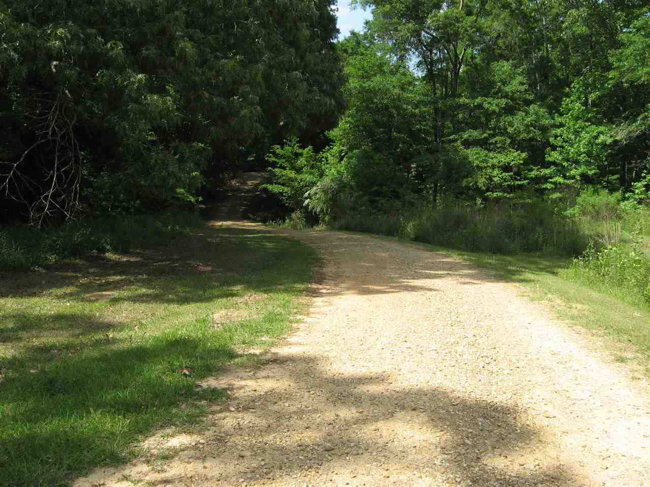 3850 Old Jackson Road Terry, MS 39170 - Photo 20 of 31 Deer Plots