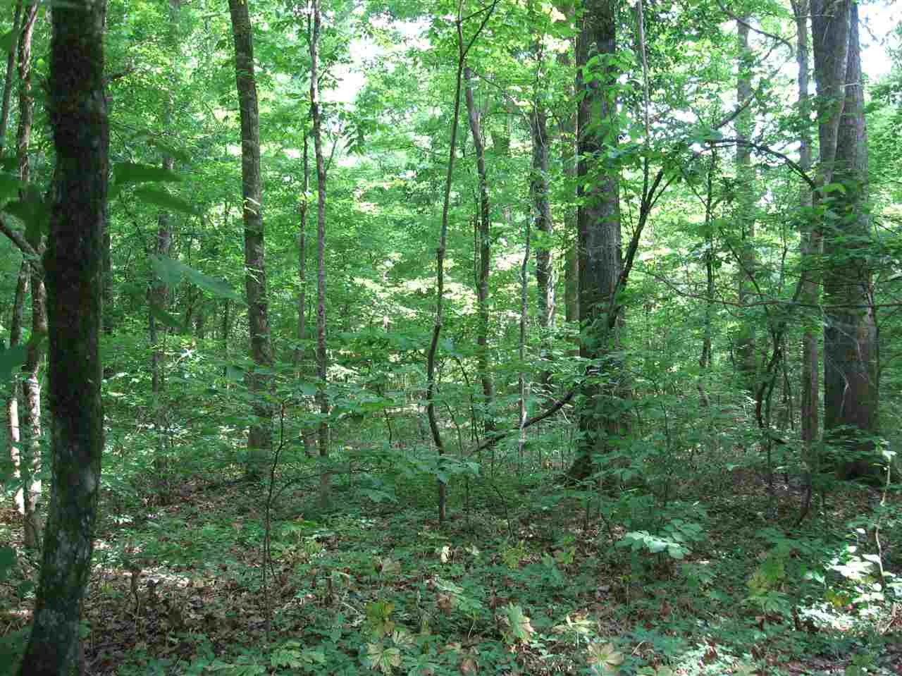 3850 Old Jackson Road Terry, MS 39170 - Photo 24 of 31 Photo 24
