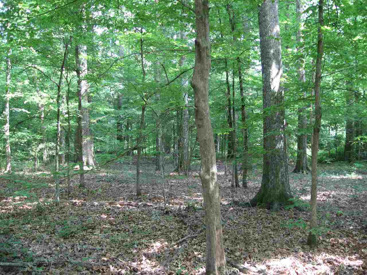 3850 Old Jackson Road Terry, MS 39170 - Photo 26 of 31 Photo 26