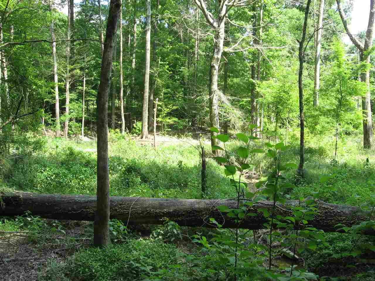 3850 Old Jackson Road Terry, MS 39170 - Photo 30 of 31 Photo 30