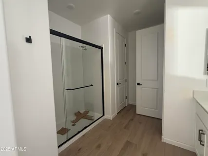 a bathroom with a shower and a sink