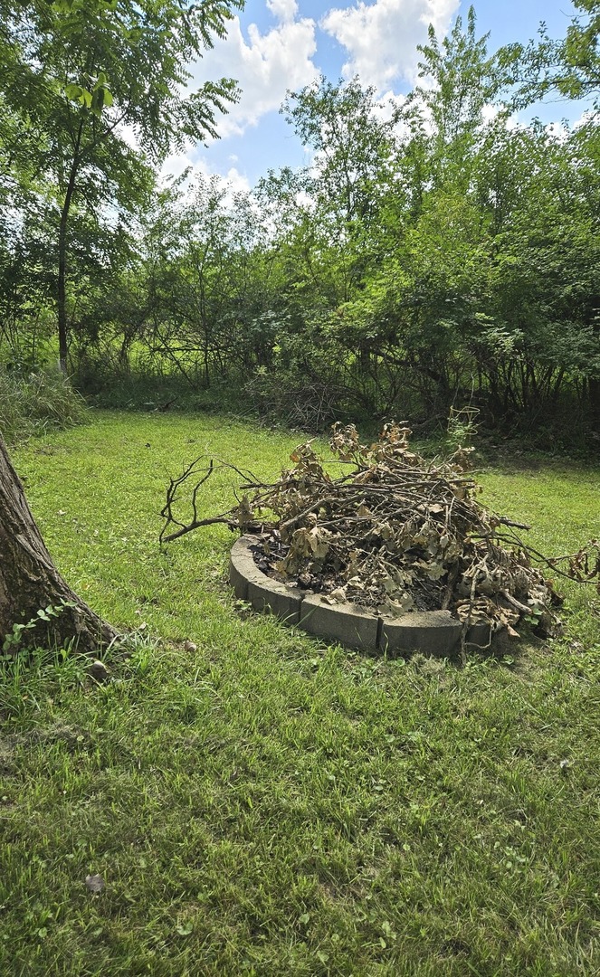 25-37 Woodhaven Sublette, IL 61367 - Photo 13 of 13 a view of a lush green field