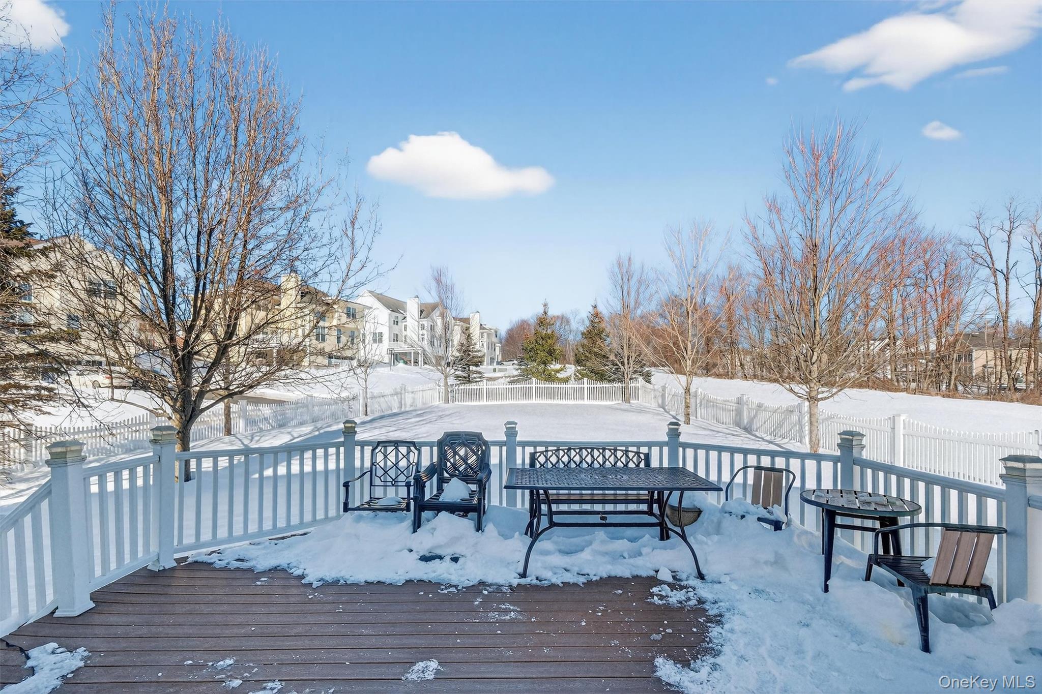 205 Buttonwood Way Hopewell Junction, NY 12533 - Photo 35 of 46