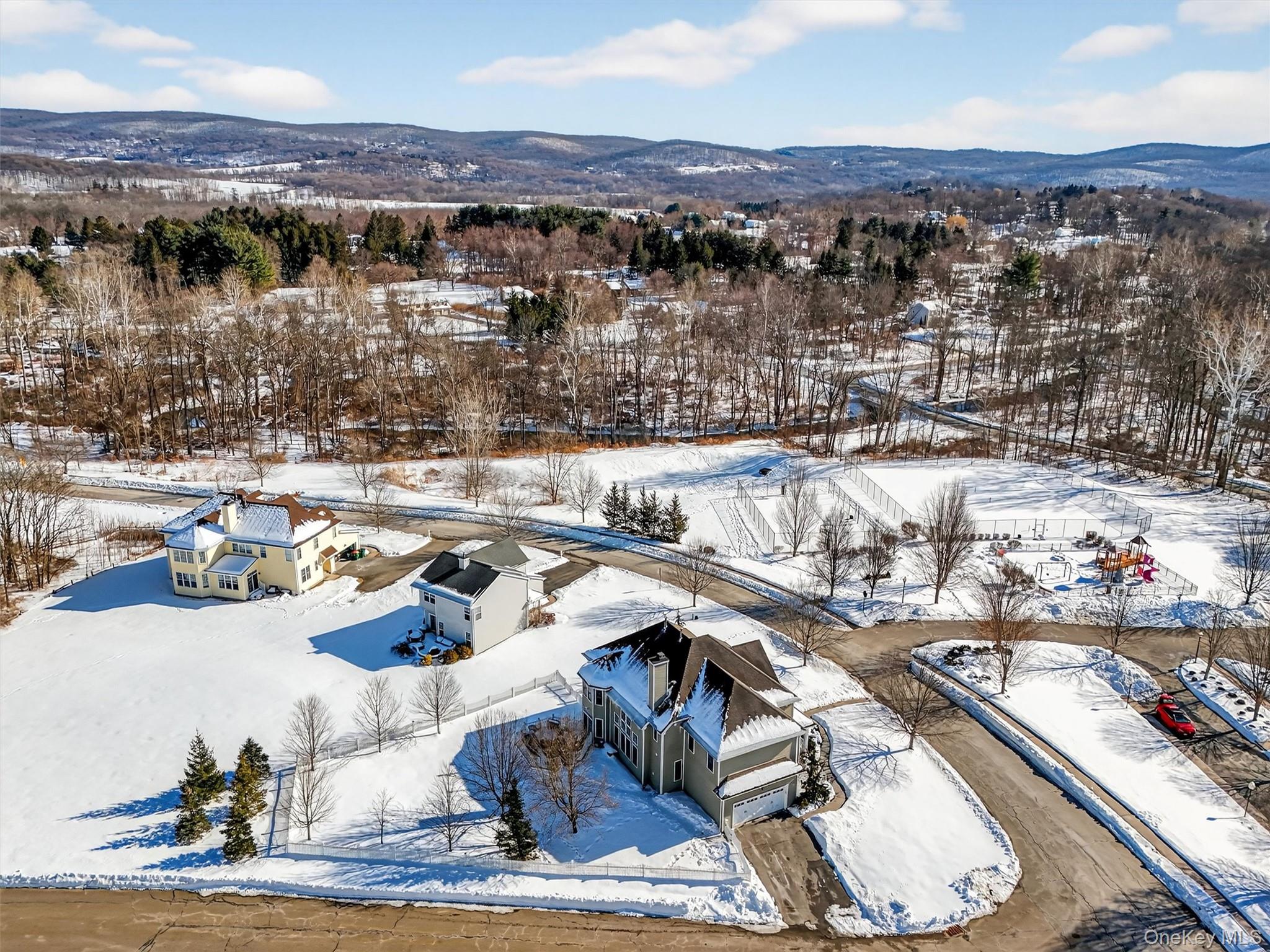 205 Buttonwood Way Hopewell Junction, NY 12533 - Photo 36 of 46