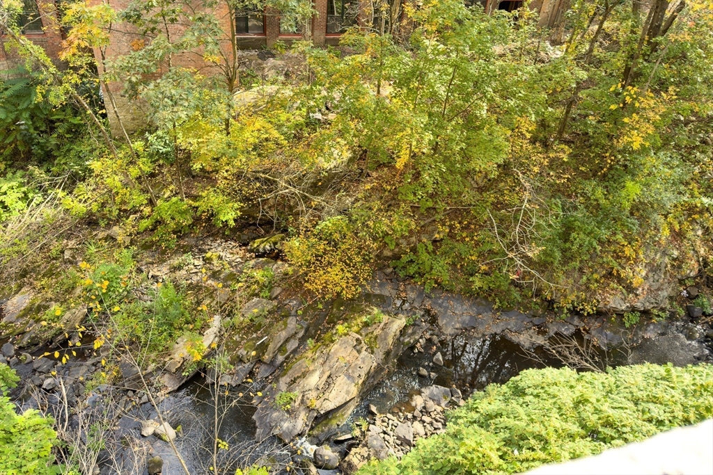 1511 Main Street, Unit C306 Worcester, MA 01603 - Photo 23 of 33 a view of a yard with plants