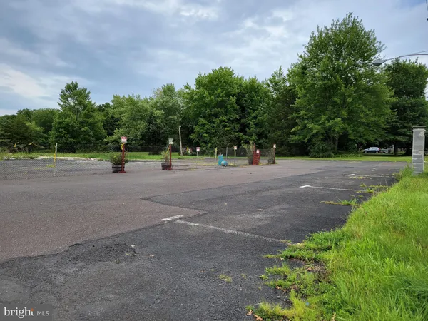 a view of road with a large trees