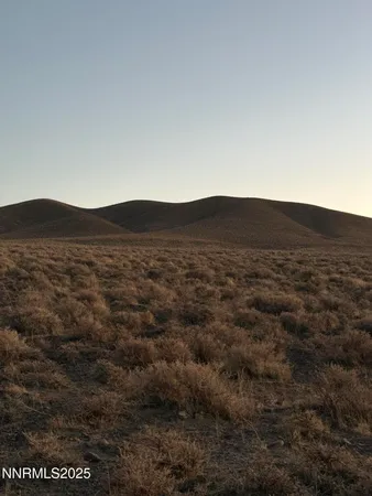 a view of mountain with trees