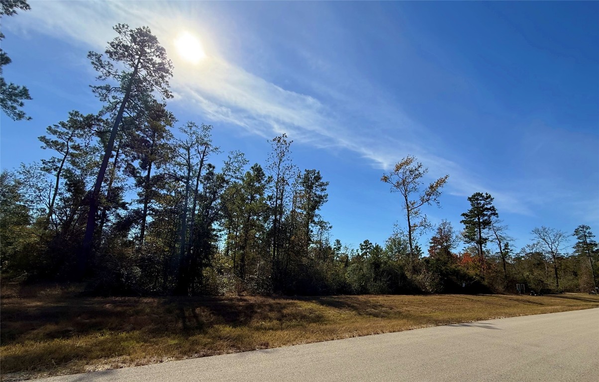 312 Iron Horse Road Willis, TX 77378 - Photo 11 of 11 a view of a pathway with a wrought fence