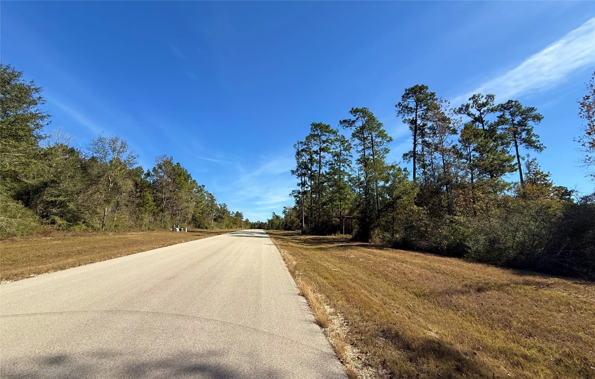 312 Iron Horse Road Willis, TX 77378 - Photo 2 of 11 a view of a backyard