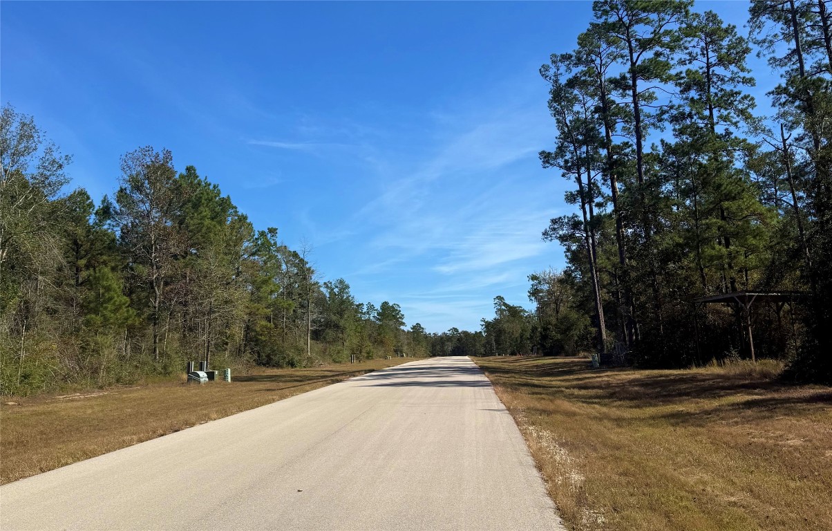 312 Iron Horse Road Willis, TX 77378 - Photo 3 of 11 a view of a house with a yard