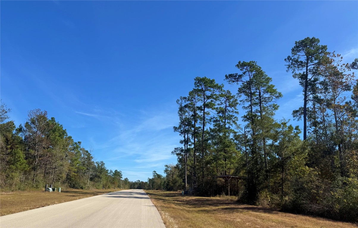 312 Iron Horse Road Willis, TX 77378 - Photo 4 of 11 a view of a yard with a tree