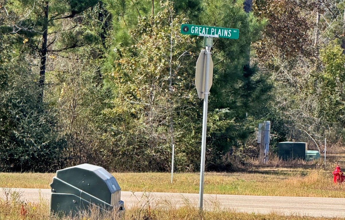312 Iron Horse Road Willis, TX 77378 - Photo 5 of 11 a view of a street sign of the house