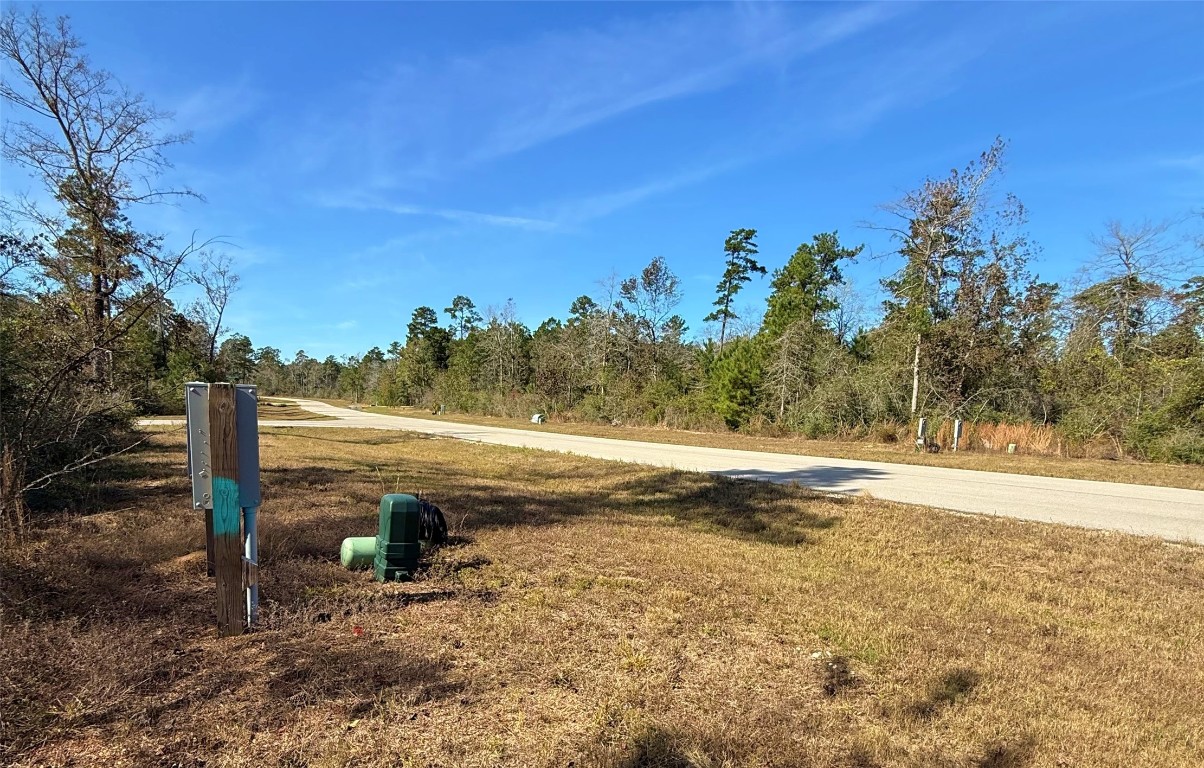 312 Iron Horse Road Willis, TX 77378 - Photo 6 of 11 a view of a yard with an outdoor space