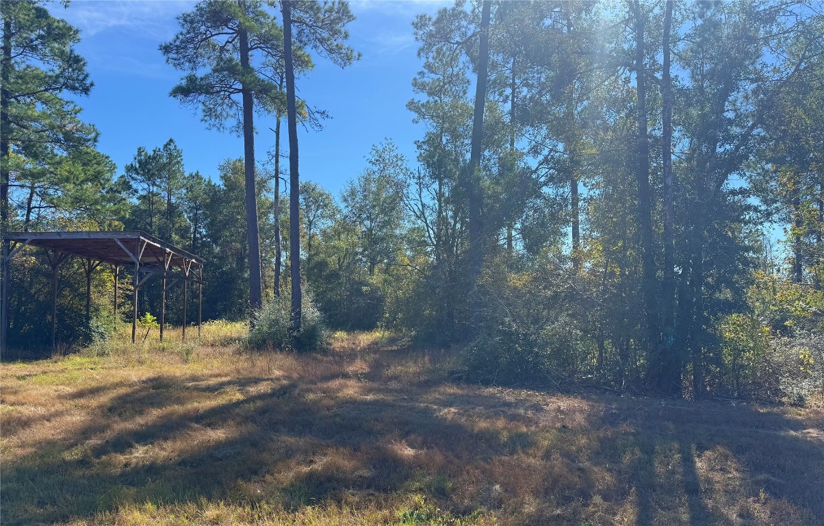 312 Iron Horse Road Willis, TX 77378 - Photo 7 of 11 a view of a yard with a tree