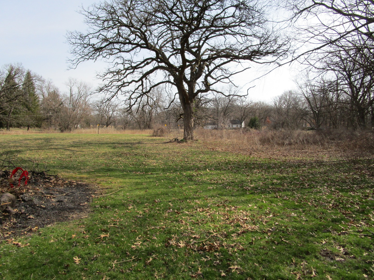 40W787 Whitney Road St. Charles, IL 60175 - Photo 14 of 50