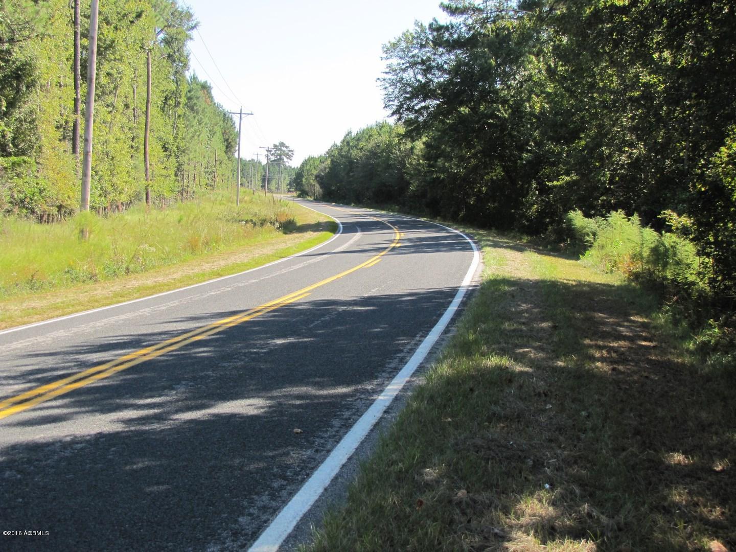 Rfd Rfd Prince William Road Brunson, SC 29911 - Photo 1 of 13 IMG_1543
