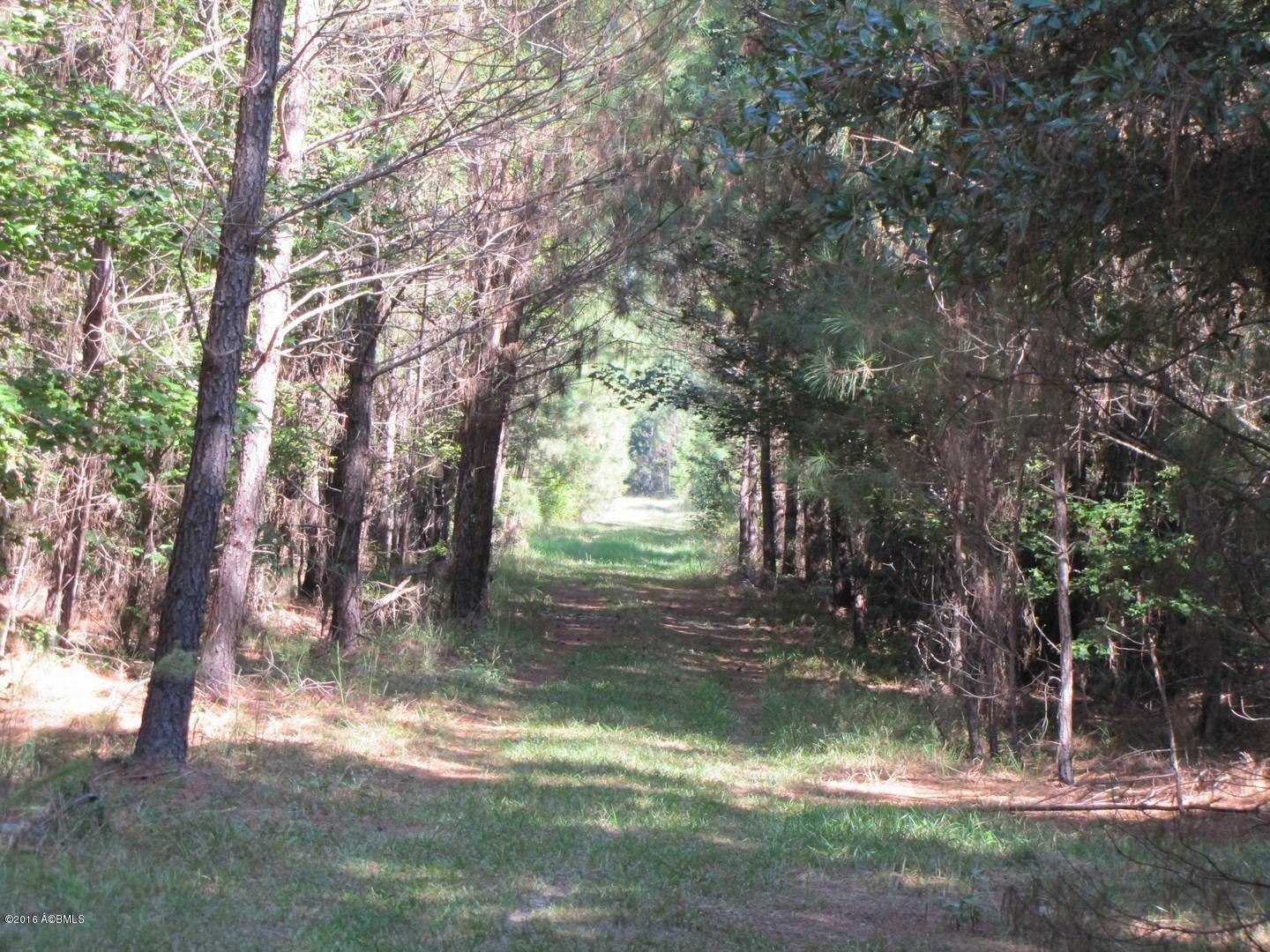 Rfd Rfd Prince William Road Brunson, SC 29911 - Photo 4 of 13 IMG_1546