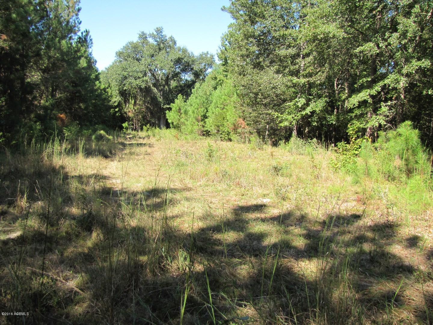 Rfd Rfd Prince William Road Brunson, SC 29911 - Photo 6 of 13 IMG_1548