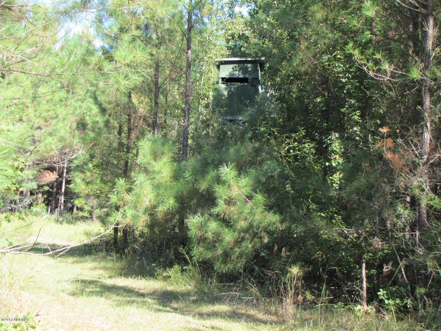 Rfd Rfd Prince William Road Brunson, SC 29911 - Photo 8 of 13 IMG_1550