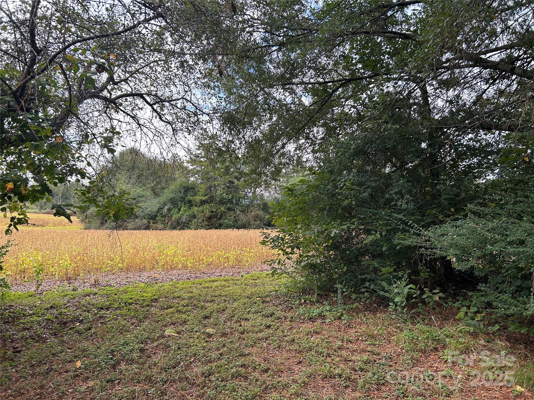 20159 Efird Road Albemarle, NC 28001 - Photo 32 of 33 Gallery Image 32