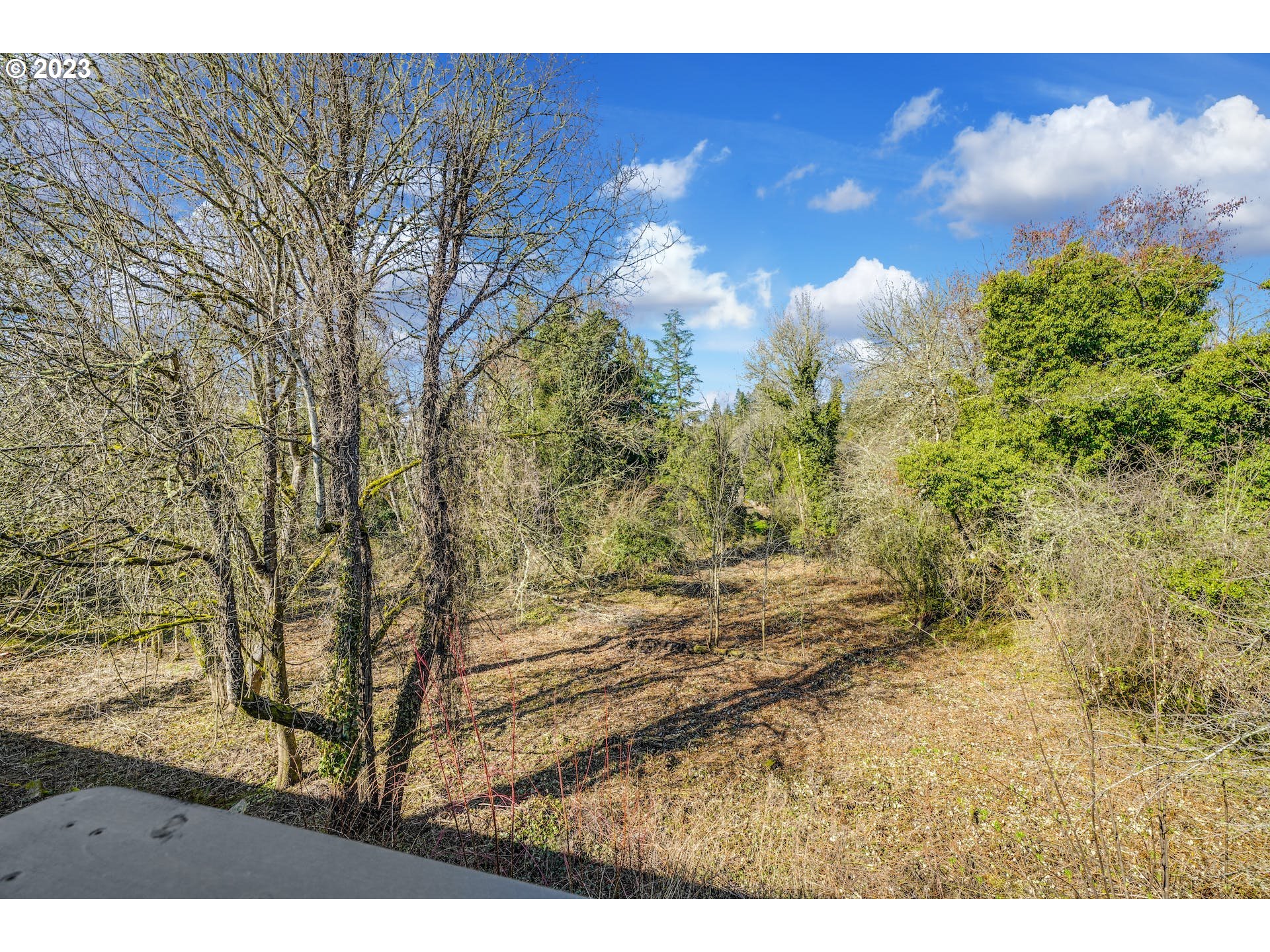 5225 Southwest Oleson Road, Unit 10 Portland, OR 97225 - Photo 22 of 30 a view of a yard with large trees