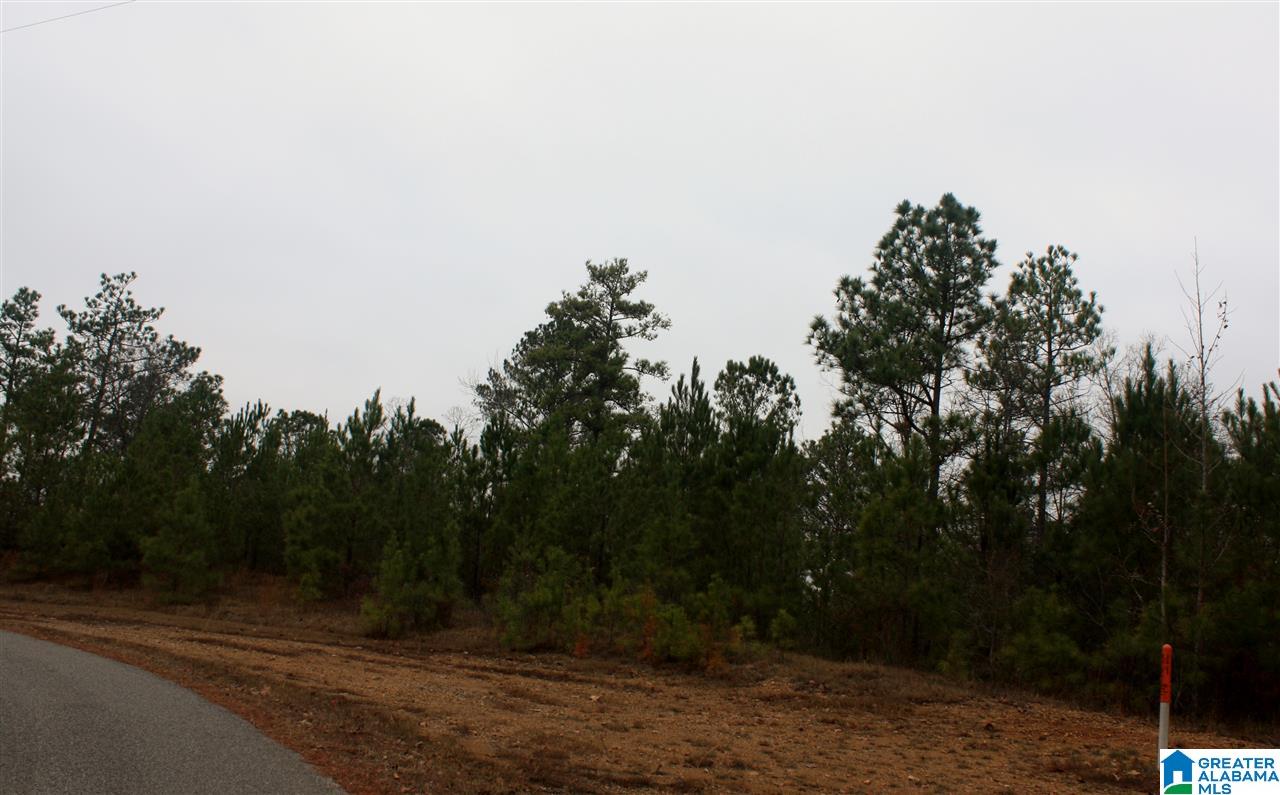 Shoreside Lane, Unit 201 Sylacauga, AL 35151 - Photo 13 of 15